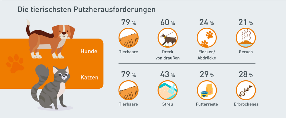 Infografik: Was wird im Haushalt mit Hunden oder Katzen wie häufig gereinigt?