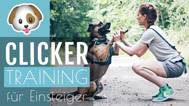 Clickertraining YouTube