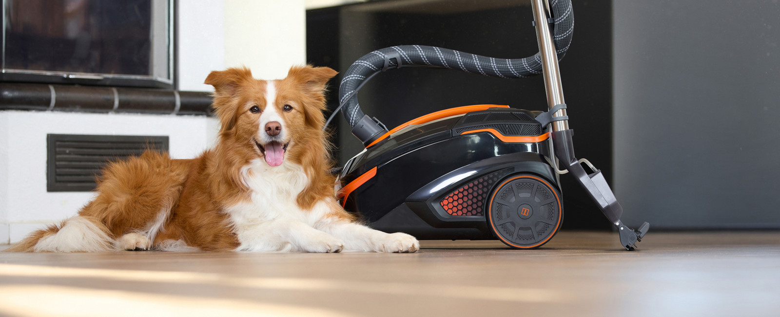 Header – PET & FAMILY PRO 4ALL