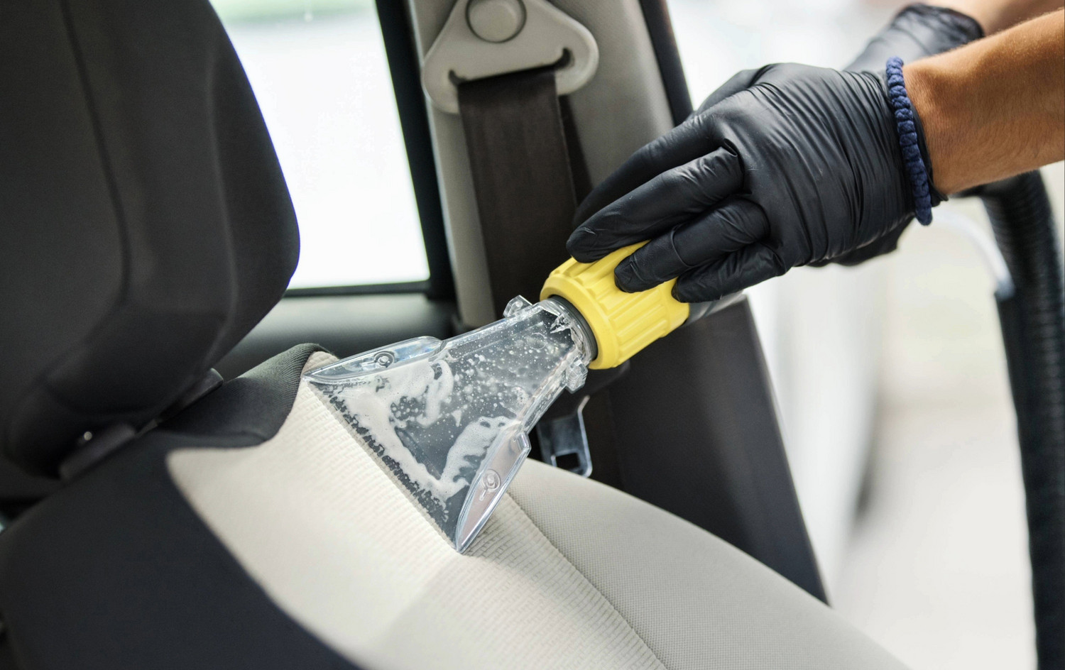Hundegeruch aus dem Auto entfernen – Tipps