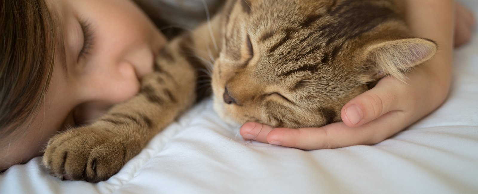 Katze kuschelt mit Mädchen