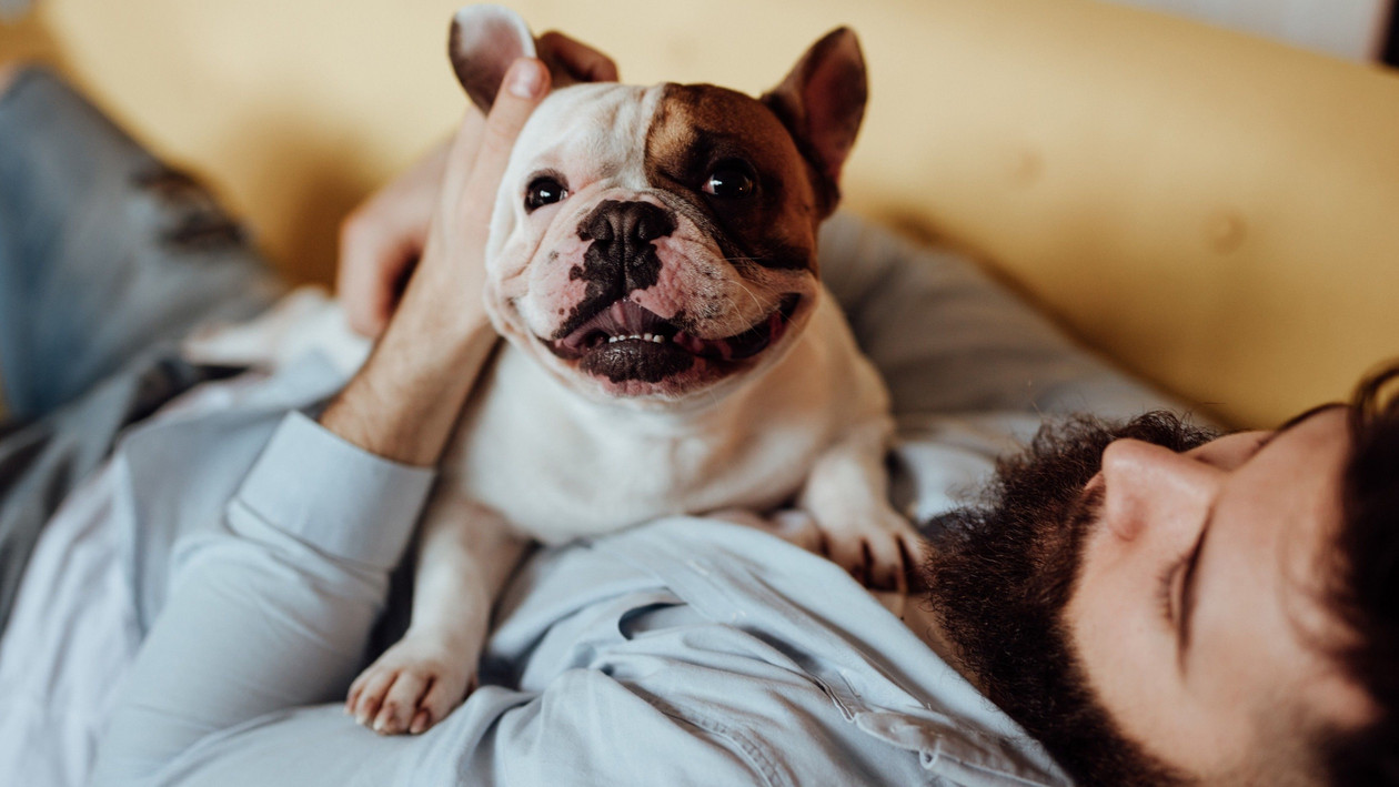 Hund liegt auf dem Bauch eines Mannes