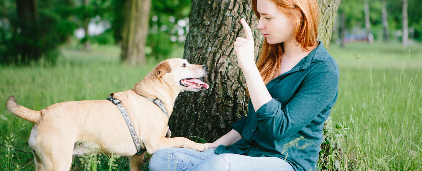 Junge Frau mit roten Haaren sitzt im Gras und spielt mit blondem Hund.