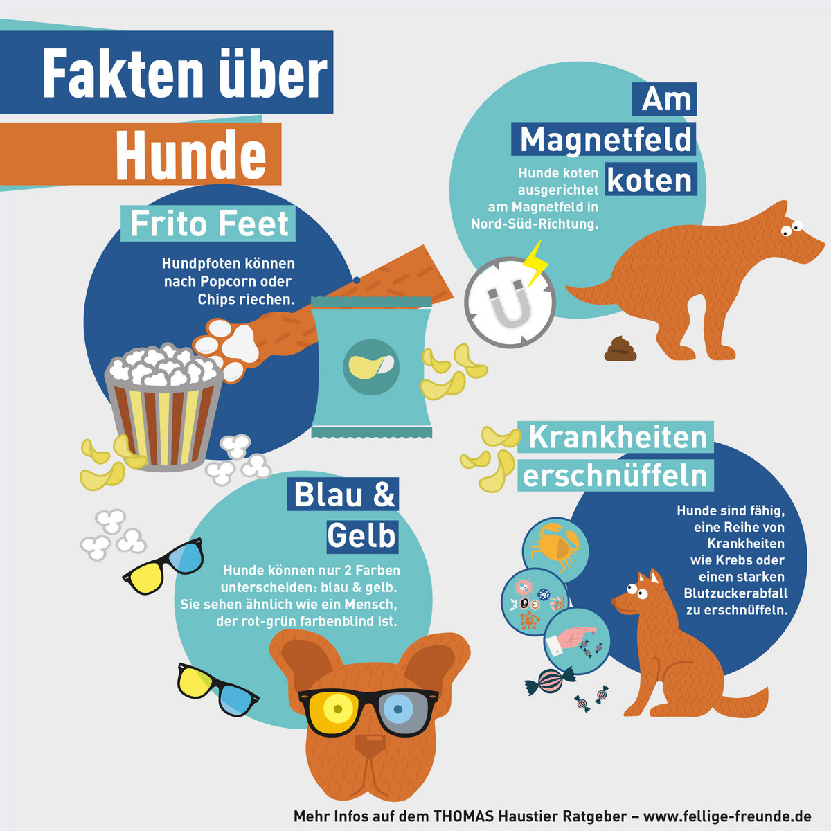 Infografik - Fakten über Hunde