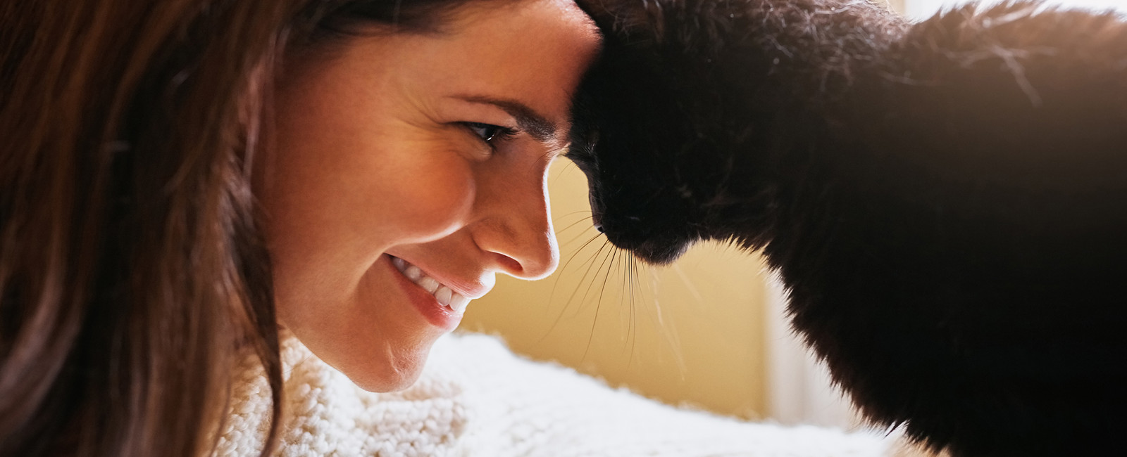 Katze lehnt sich mit Kopf gegen die Stirn einer Frau