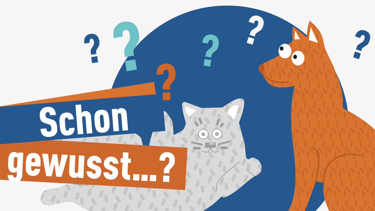 Schon gewusst? Infos zu Hunden & Katzen