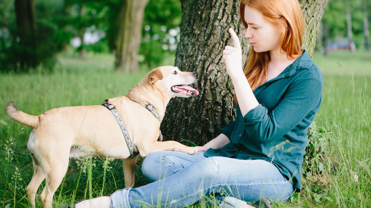 Junge Frau mit roten Haaren sitzt im Gras und spielt mit blondem Hund.