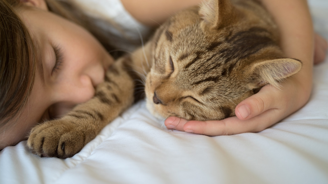 Katze kuschelt mit Mädchen